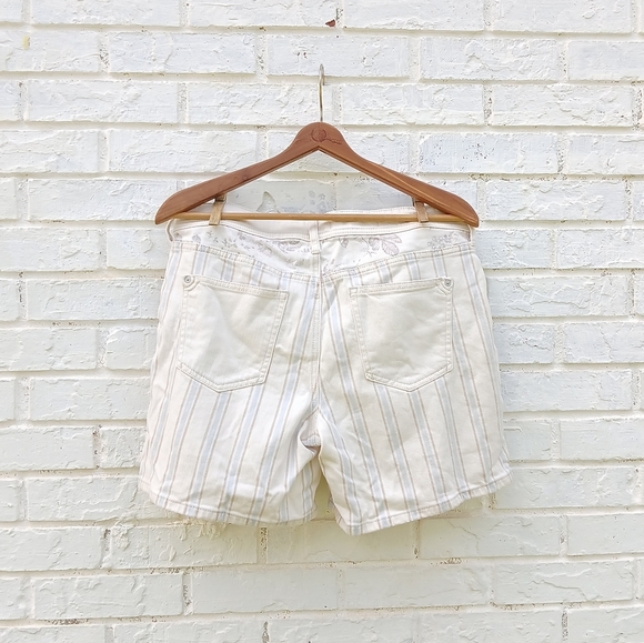 Anthropologie Pilcro Stripe Denim Slim Boyfriend Shorts - Picture 6 of 9